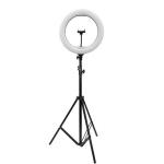 10 Inches Automatic Led Ringlight With Stand