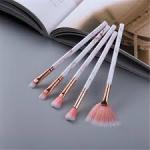 5Pcs Makeup Brush Set Eyeshadow Foundation Concealer Brush -Pink