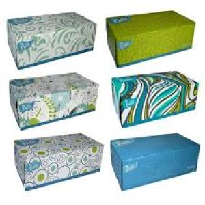 6 Boxes Belle Car Facial & Multi Purpose Tissue Paper