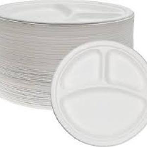 24pcs Party Disposable Plates - 3 Compartment