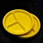 25pcs Party Disposable Plates - 3 Compartment