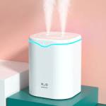 2L Double Spray Humidifier