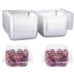 35pcs  Disposable Food Serving Tray