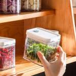 Storage Boxes With Lid Food Storage For Vegetables