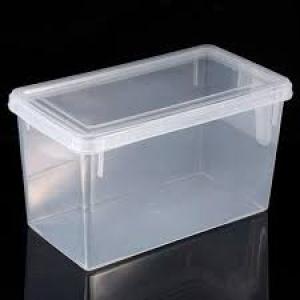 Transparent Food Storage Box 2Litres